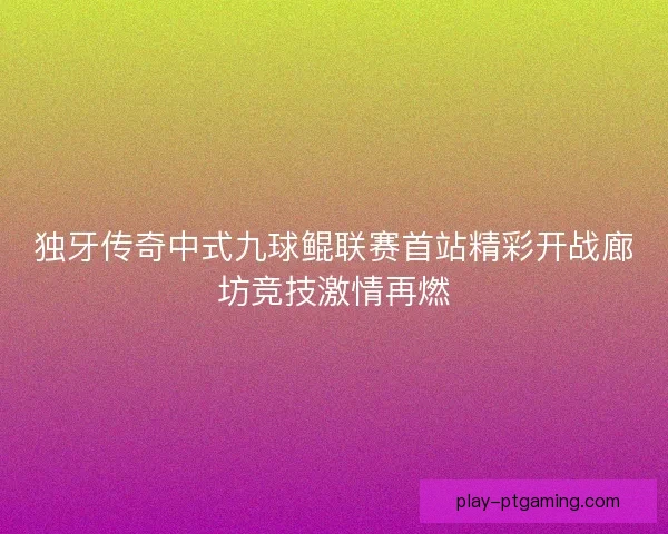 独牙传奇中式九球鲲联赛首站精彩开战廊坊竞技激情再燃